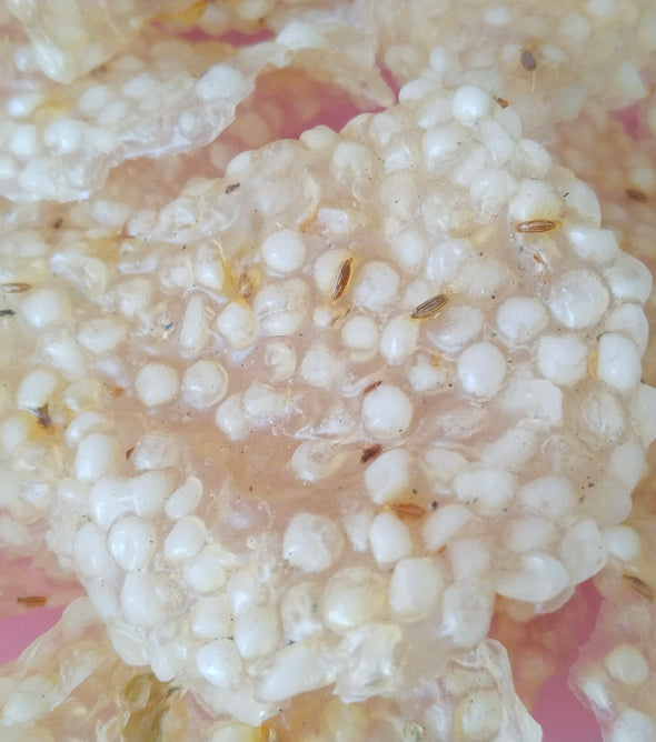 Sabudana Papad